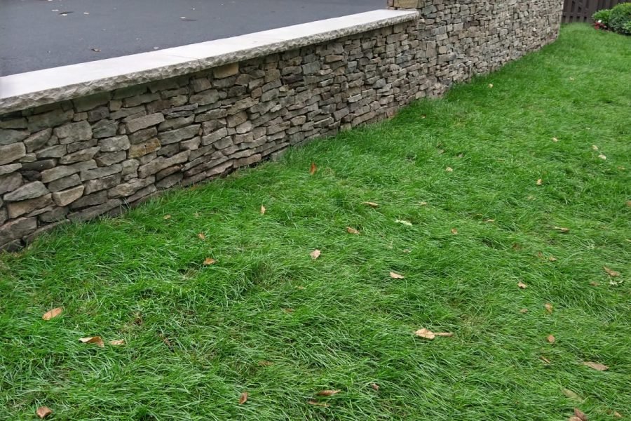 WhatsApp Image 2020-09-10 at 3.33.01 PM